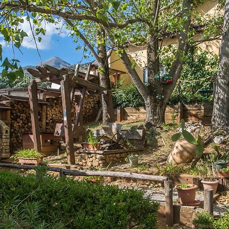 Agriturismo La Locanda Del Parco Морано-Калабро Екстер'єр фото