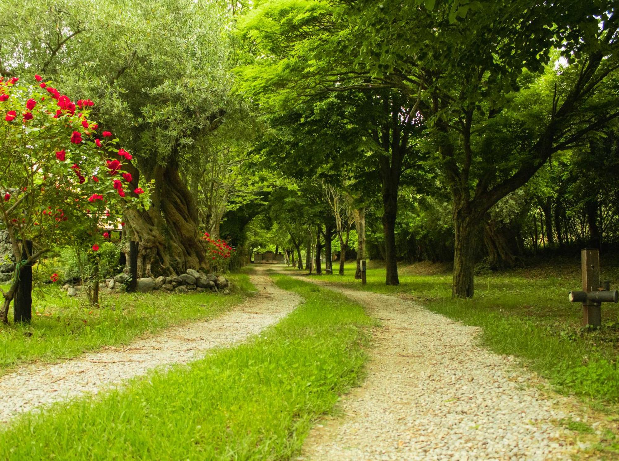 Agriturismo La Locanda Del Parco Морано-Калабро Екстер'єр фото